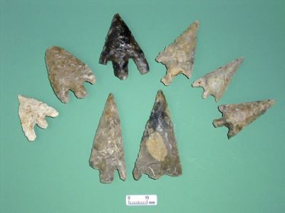 Neolithic Arrow Heads Found at Manor Farm (www.wessexarch.co.uk)
