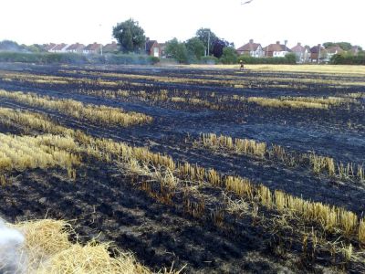 Burnt Rape Crop Extinguished by Firemen
