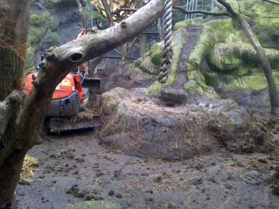 Cleaning out gorilla cages at Chessington World of Adventure
