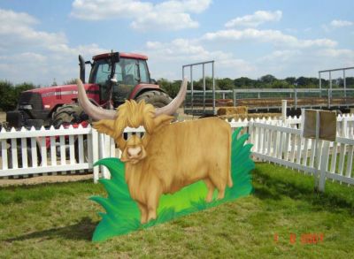 Highland Cattle at Maize Maze, Summer 2007
