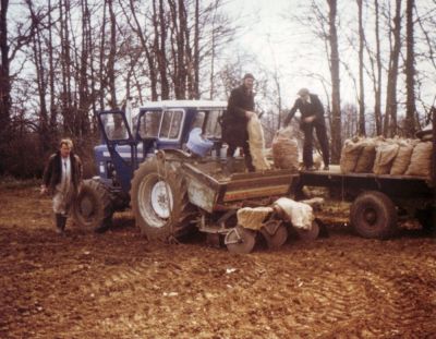 Gerald Rayner,George Weller, Freddy Mills, sowing Potatoes at Sutton 1970s
Keywords: J.Rayners & sons Ltd