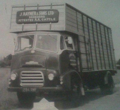 284 RMF J Rayner & Sons Cattle Truck supplied by Gibbs of Bedfont
