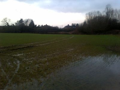 Waterlogged field at Runnymede
