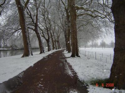 Snowy Track at Royal Farm
