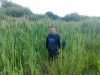 harvesting-reeds-for-film-set-2.jpg